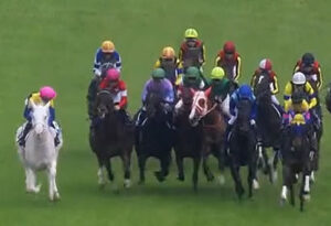 ナミュールがVMでの不利の影響で外傷と打撲が判明 症状は軽いため次走は安田記念へ