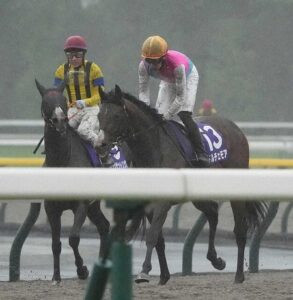 ドルチェモア三浦皇成「ポジション取りを読み切れなかった」