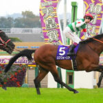 冷静に考えてエフフォーリア如きに得意舞台で負けたコントレイルって三冠馬として弱すぎないか?