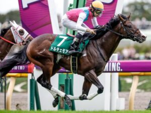 ドルチェモアとかいうラキ珍