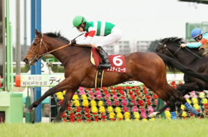 【日本ダービー】タスティエーラ堀調教師がノーザン天栄と和解「プライドを捨てた決死の采配」