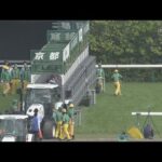 2023 TENNO SHO (SPRING) (G1) | JRA Official