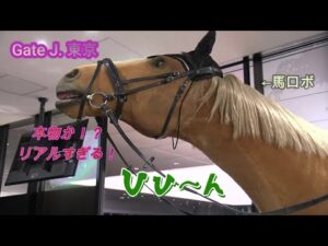 Gate J. 東京　施設紹介 | JRA公式