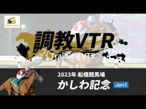 調教VTR｜2023年 かしわ記念 JpnI｜NAR公式
