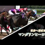 世界へ羽ばたけマンダリンヒーロー!ケンタッキダービーへの道のり