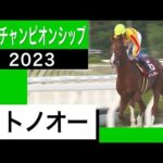 JRAのミトノオー(武豊騎手)が6馬身差で圧勝!【兵庫チャンピオンシップ2023】
