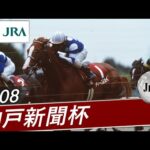 2008年 神戸新聞杯(JpnⅡ) | ディープスカイ | JRA公式