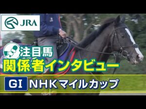 【注目馬 関係者インタビュー】2023年 NHKマイルカップ｜JRA公式