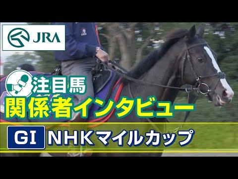 【注目馬 関係者インタビュー】2023年 NHKマイルカップ｜JRA公式