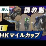 【調教動画】2023年 NHKマイルカップ|JRA公式