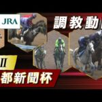 【調教動画】2023年 京都新聞杯|JRA公式