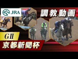 【調教動画】2023年 京都新聞杯｜JRA公式