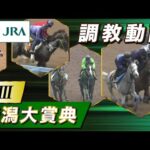 【調教動画】2023年 新潟大賞典|JRA公式