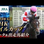 【データ&出走馬紹介】2023年 NHKマイルカップ|JRA公式