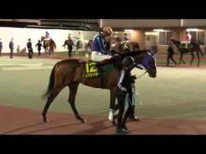 アタック！地方競馬｜第214回｜PLAYBACK  かしわ記念｜NAR公式