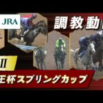 【調教動画】2023年 京王杯スプリングカップ|JRA公式