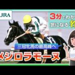 【3分でわかる】メジロラモーヌ・三冠牝馬の最高峰へ | JRA公式