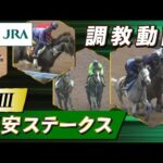 【調教動画】2023年 平安ステークス|JRA公式