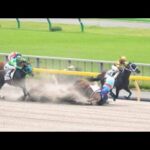 一頭の落馬から後続馬が落馬してしまう