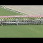 2023 YUSHUN HIMBA (JAPANESE OAKS) (G1) | JRA Official