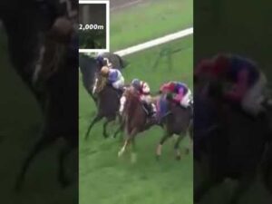 横山典弘の末脚一閃