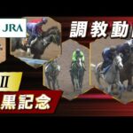 【調教動画】2023年 目黒記念|JRA公式