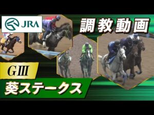 【調教動画】2023年 葵ステークス｜JRA公式