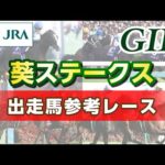 【参考レース】2023年 葵ステークス|JRA公式
