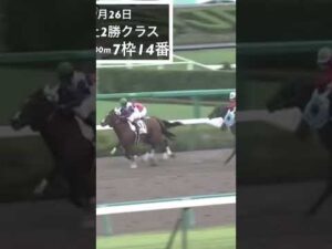 55歳だがまだまだできる‼️息子に負けない横山典弘騎手