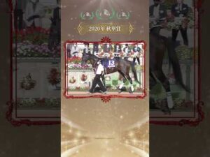 【三冠メモリアル】デアリングタクト #shorts | JRA公式