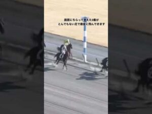 ポツンと思いきや、1着で突き抜ける‼️