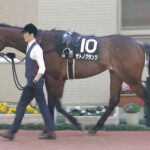 【競馬予想】第71回京都新聞杯(GⅡ)/2023