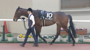 【競馬予想】第71回京都新聞杯(GⅡ)/2023