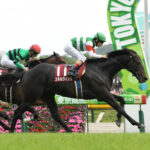 【日本ダービー】早い時計で重賞勝った馬がスキルヴィングしかいない件