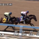 【日本ダービー2023】追い切り/調教を見てわかる事