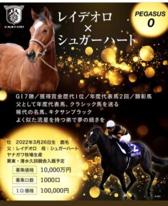 【競馬】ユニオンオーナーズクラブがキタサンブラックの弟を過去最高額の1億円で募集
