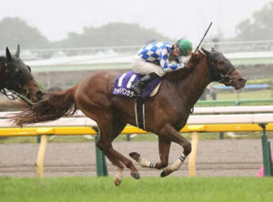 NHKマイル制覇シャンパンカラーの弟キズナ産駒ｗｗｗ