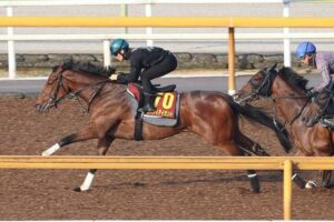 【オークス】リバティアイランドの追い切り評価