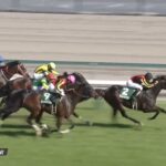 【鳴尾記念2023】出走予定馬・騎手/先のレースを見据え