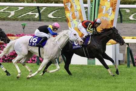 ソダシ安田記念の鞍上は川田