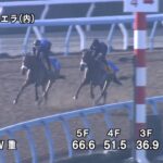 【目黒記念2023】追い切り/動きを見極め勝利に近づけ
