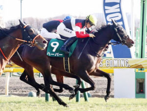 【競馬予想】[2]第84回オークス(GⅠ) /2023