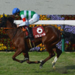 【競馬予想】[2]第18回ヴィクトリアマイル(GⅠ) /2023