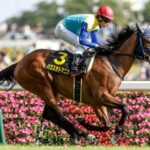 ベラジオオペラ、横山和生で日本ダービーへ 田辺はプリンシパルSで乗り馬確保