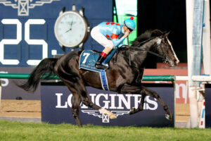 【宝塚記念】ファン投票第1回中間発表！イクイノックスが2万票差付け首位