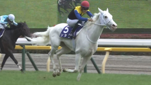 ●ソダシ(鞍上レーン騎手)の取捨