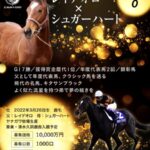 ユニオンクラブがキタサンブラックの弟を過去最高額の1億円で募集
