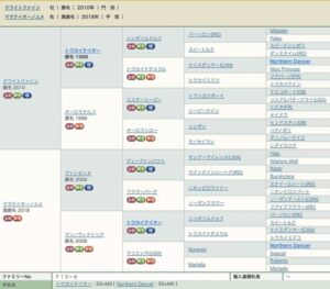 トウカイテイオーの直系繋がる