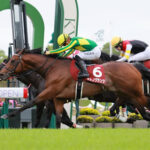 【競馬予想】[1]第90回日本ダービー(GⅠ) /2023