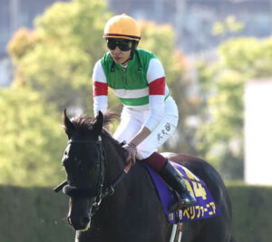 ペリファーニア横山武史、ひっそりと逝く